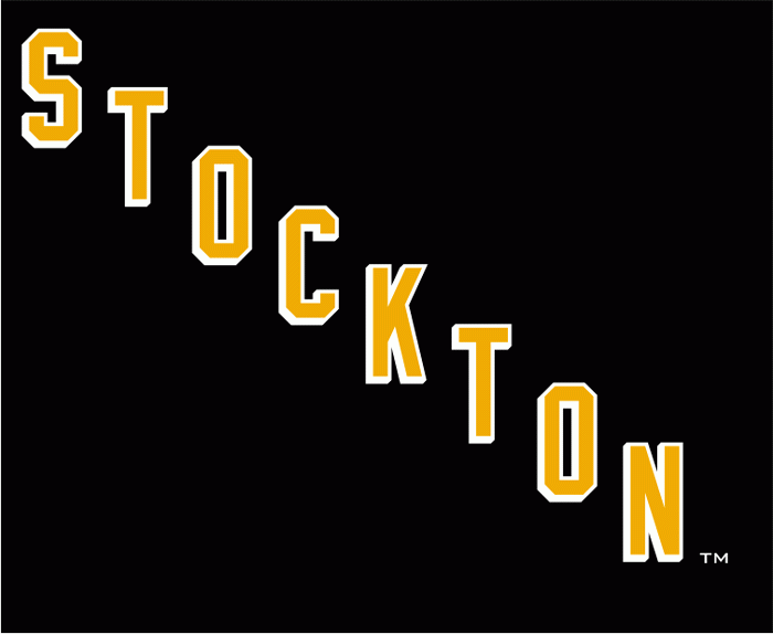 stockton thunder 2009 alternate logo iron on transfers for clothing
